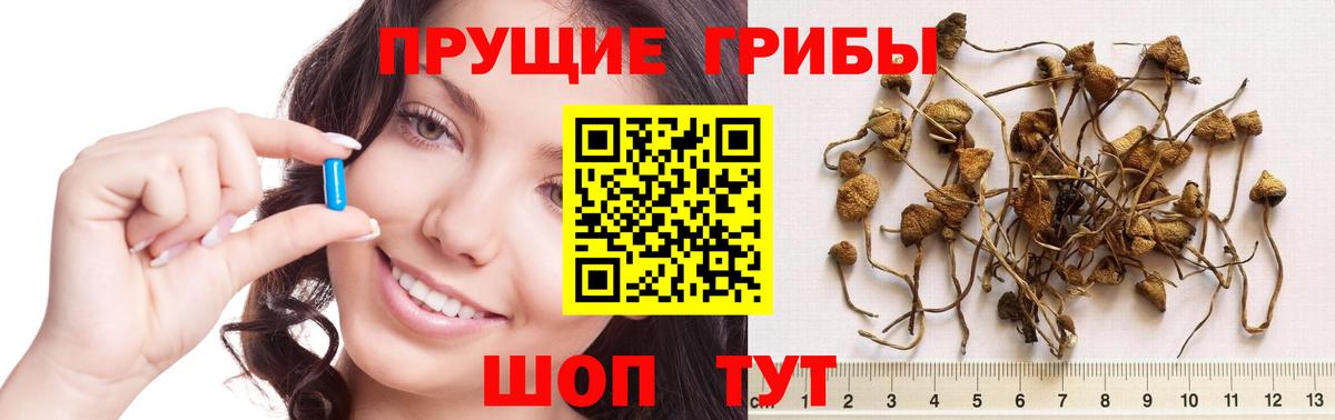 Псилоцибиновые грибы MAGIC MUSHROOMS Изобильный